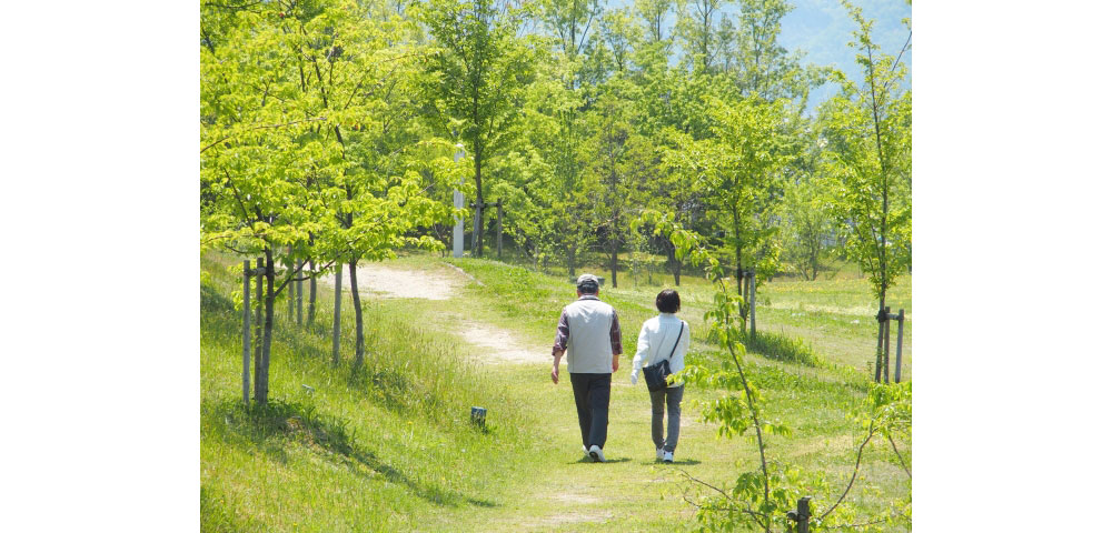 写真の説明を入れます